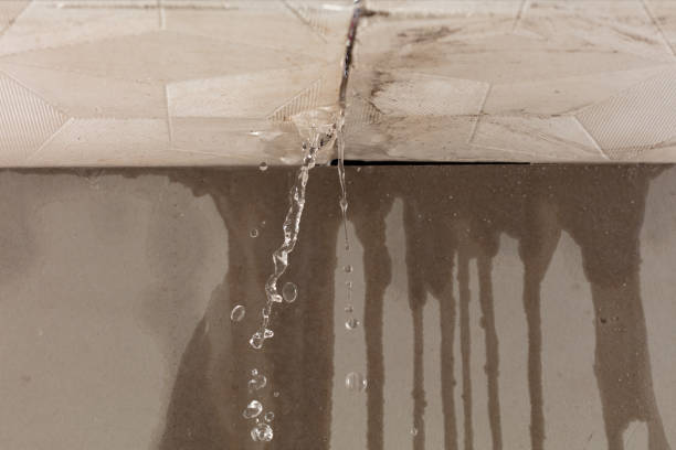 Professional Water Damage Repair technician working in Terrell, TX